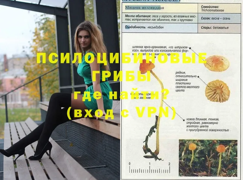 Псилоцибиновые грибы GOLDEN TEACHER  Сосновоборск 